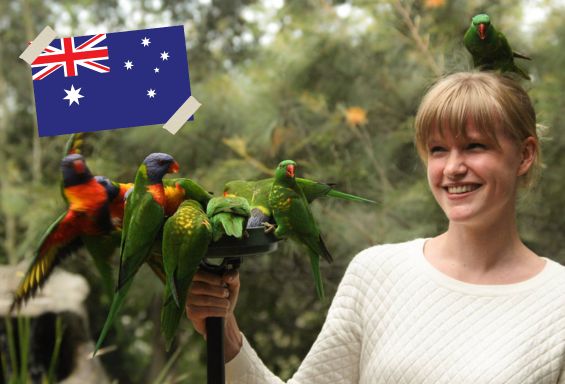 Australien_Wildlife