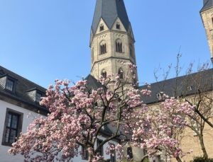 Austauschschüler in Deutschland