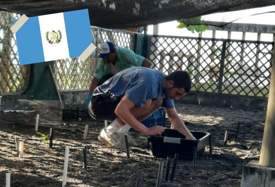 202508_FWD_Länderübersicht_Guatemala