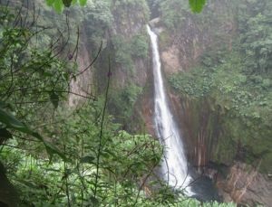 Freiwilligendienst in Costa Rica