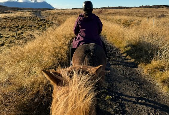 Ranchstay in Island